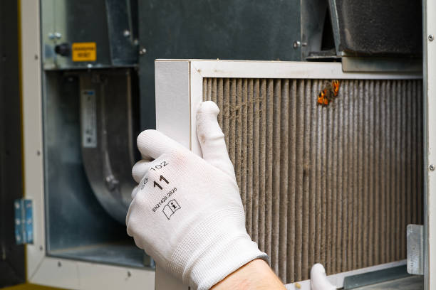 Air Duct Mold Removal in Marina Del Rey, CA